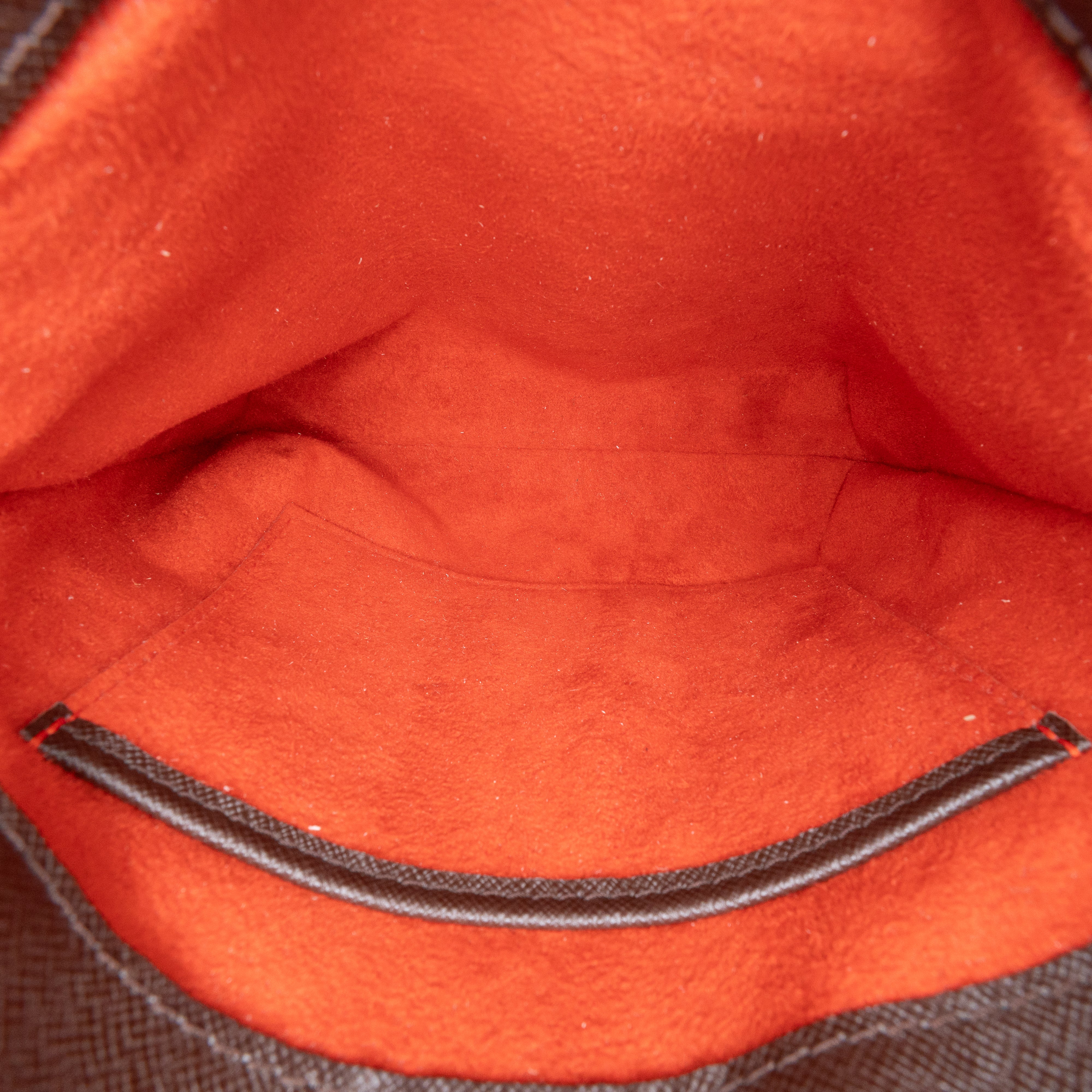Musette Salsa