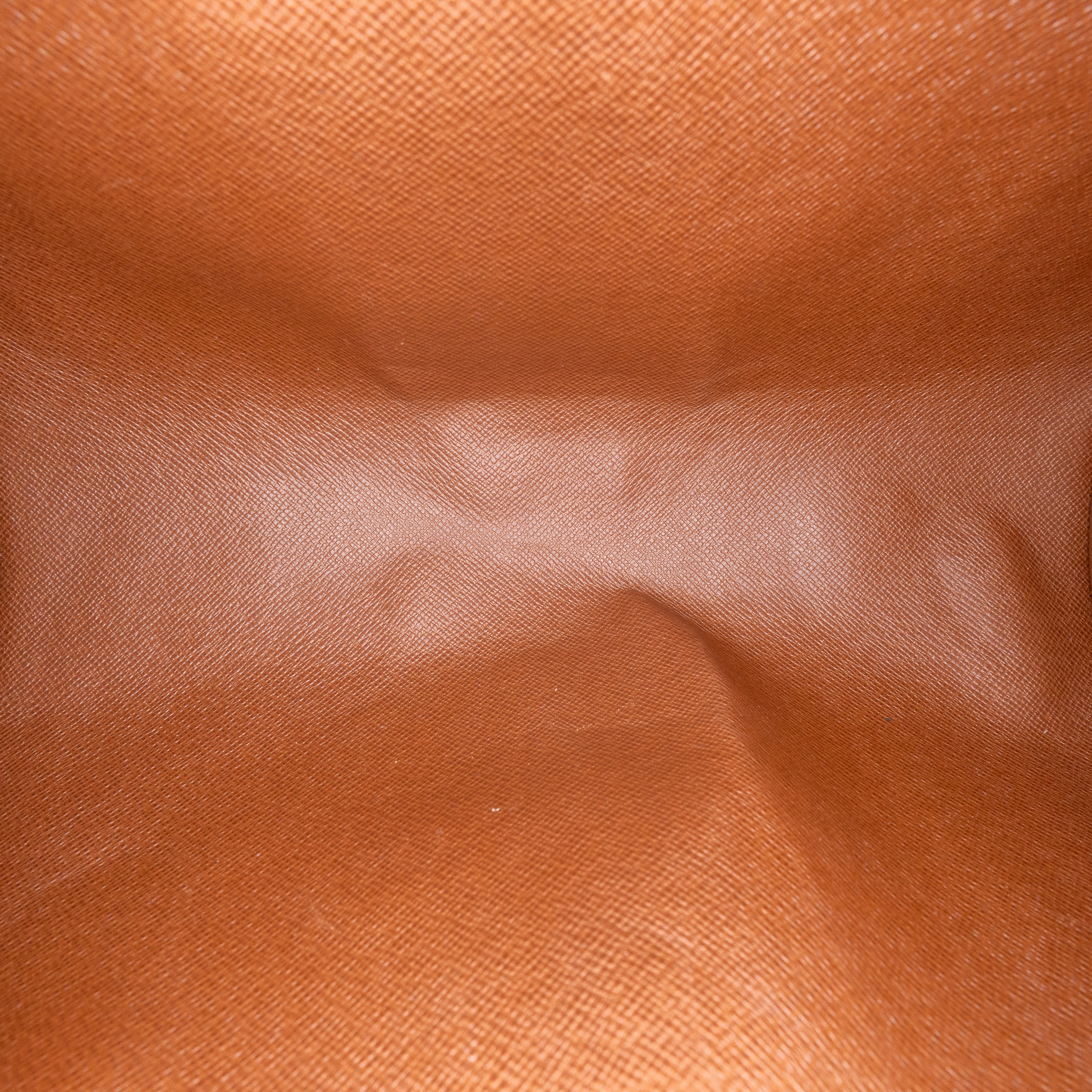 Papillon 28