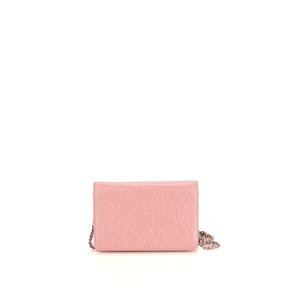 Camille Wallet on Chain