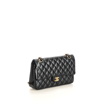 Double Flap Medium