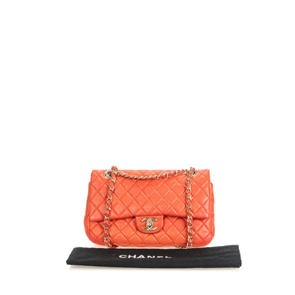Double Flap Small
