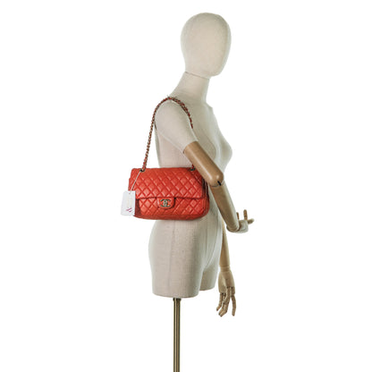 Double Flap Small