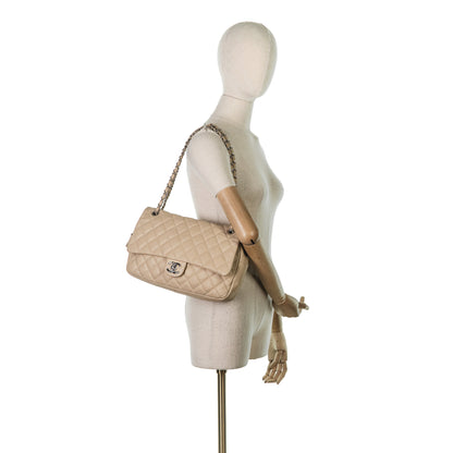 Flap Bag