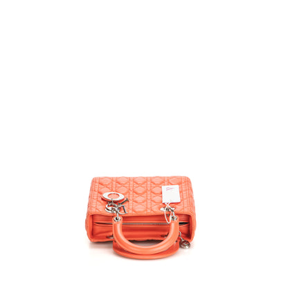Lady Dior