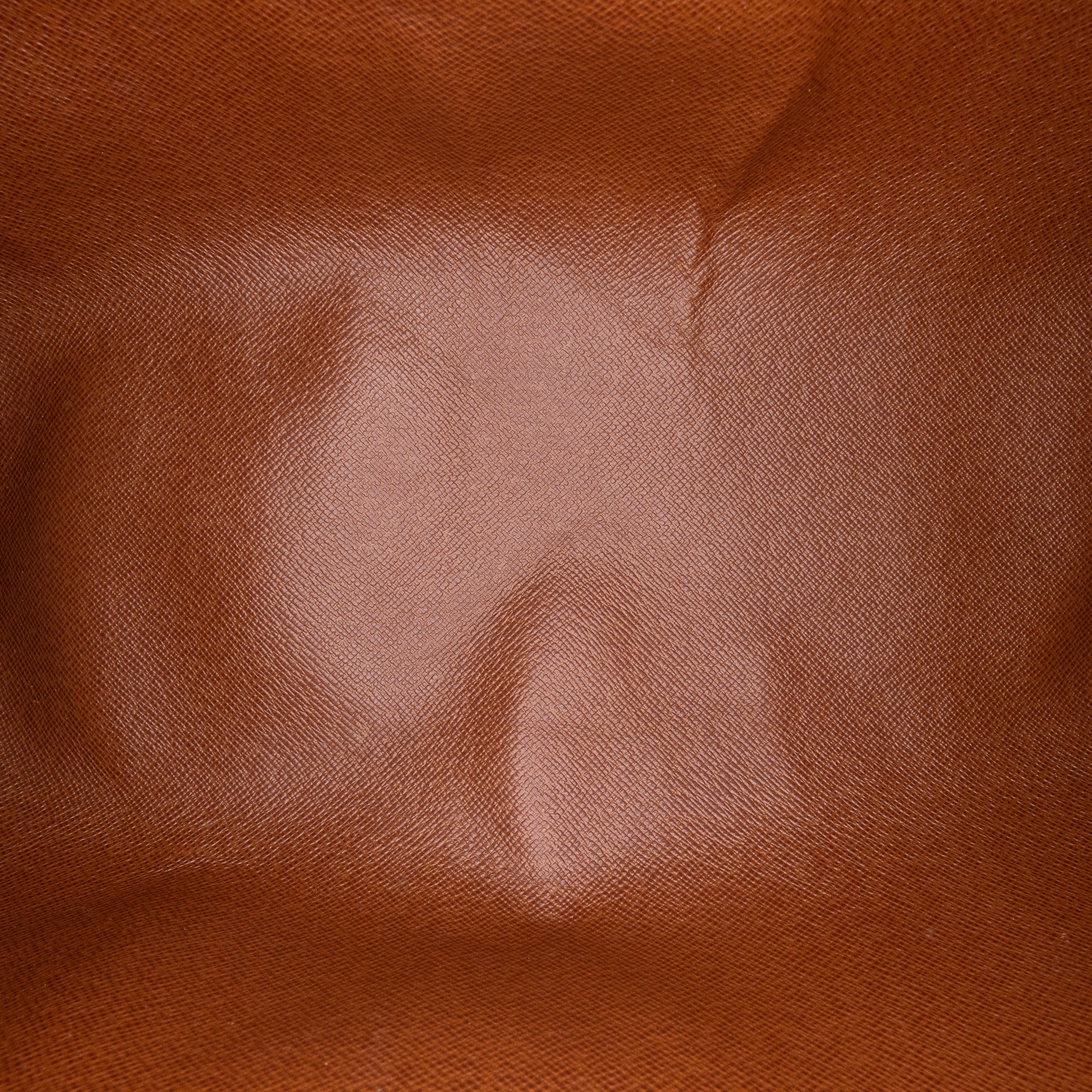 Papillon 30